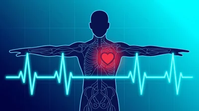 Cardiologia e eletrocardiograma