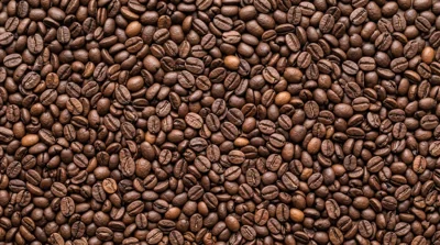 Grãos de café torrados