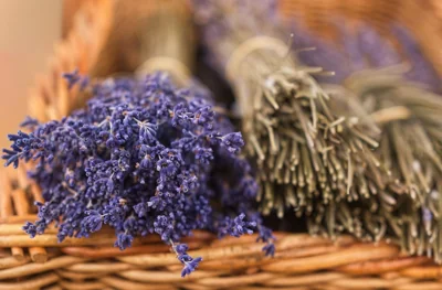 Ramos de lavanda seca em cesta de vime
