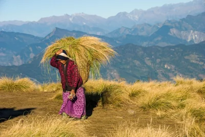 Mulher carregando palha nas montanhas do Nepal